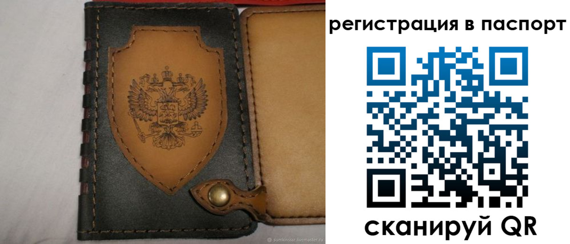 прописка поиск в Черноголовке